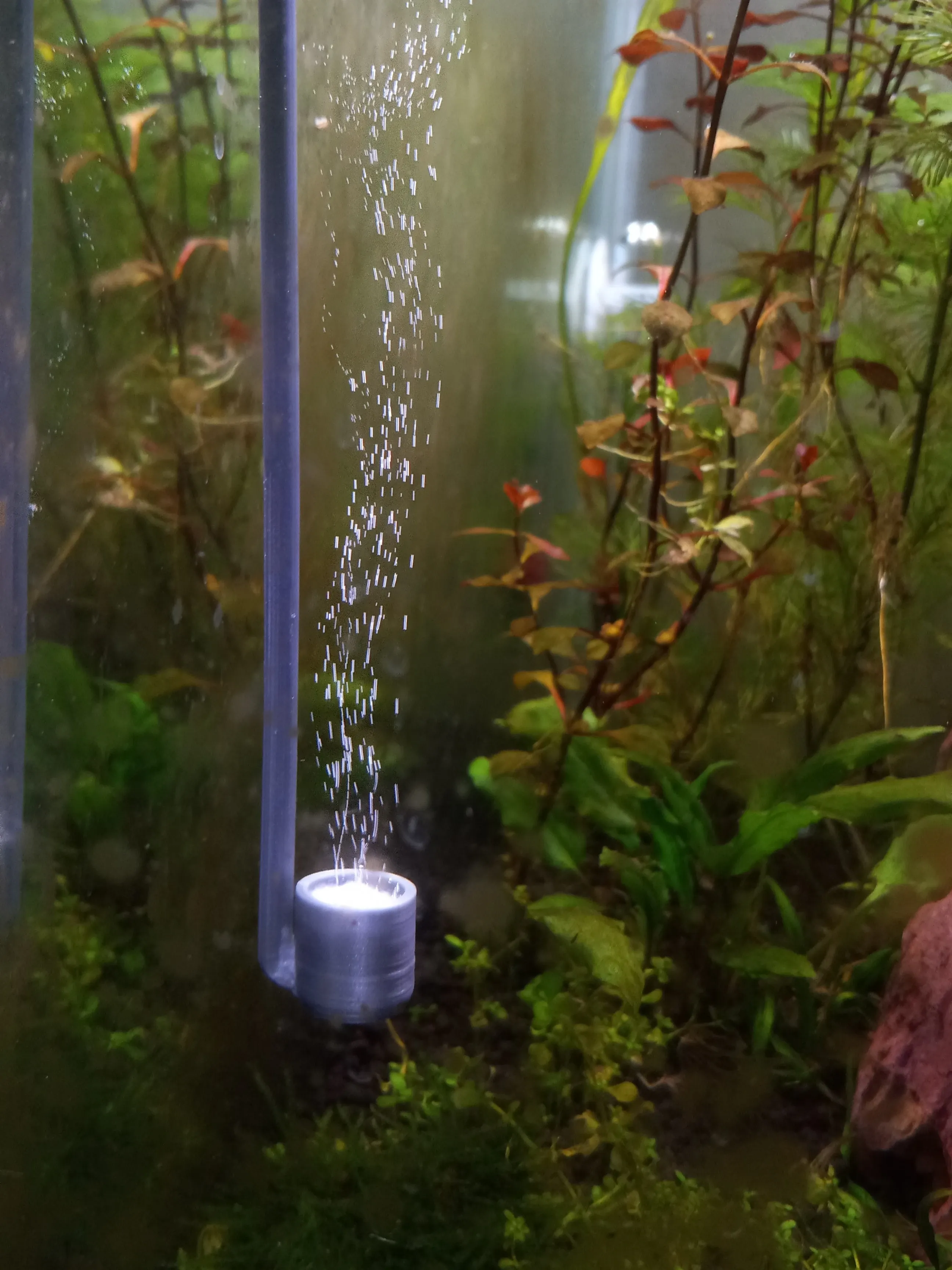 Aquarium 1.0 image 3
